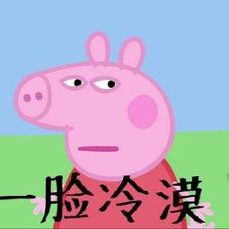 佩琪王者爆料最新消息